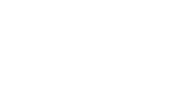 Eagleview Logo